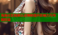 海角社区精英认证揭秘提升影响力与专属权益