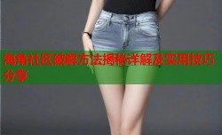 海角社区破解方法揭秘详解及实用技巧分享