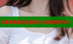 北海海角路社区服务中心智能管理平台