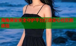 海角保安安全守护平台打造安心社区新体验