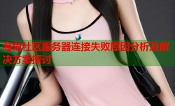 海角社区服务器连接失败原因分析及解决方案探讨