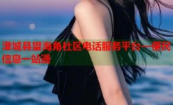 澄城县望海角社区电话服务平台—便民信息一站通
