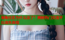 海角社区为什么没了？揭秘热门交流平台消失真相