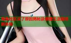 海角社区没了原因揭秘及便捷生活服务新体验