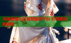 乌海海角社区智慧服务平台 引领便民新体验
