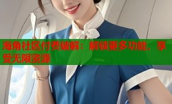 海角社区付费破解：解锁更多功能，享受无限资源