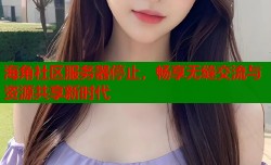 海角社区服务器停止，畅享无缝交流与资源共享新时代