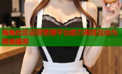 海角社区运营管理平台助力高效互动与精准服务