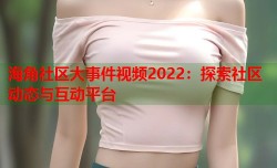 海角社区大事件视频2022：探索社区动态与互动平台