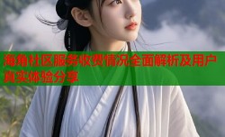海角社区服务收费情况全面解析及用户真实体验分享