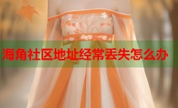 海角社区地址经常丢失怎么办