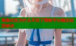 海角社区为什么不封了揭秘平台稳定运营秘诀
