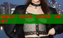 海角社区：实时互动、资源共享、兴趣圈子