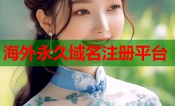海外永久域名注册平台