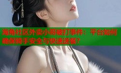 海角社区外卖小哥被打事件：平台如何确保骑手安全与快速送餐？