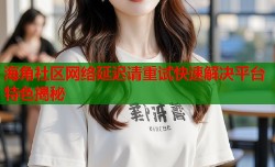 海角社区网络延迟请重试快速解决平台特色揭秘