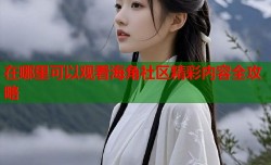在哪里可以观看海角社区精彩内容全攻略