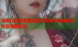 海角社区服务器连接失败解决指南轻松恢复畅聊体验