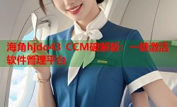 海角hjdo43 CCM破解版：一键激活软件管理平台