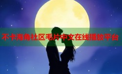 不卡海角社区毛片中文在线播放平台