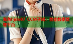 海角hjdo87 CCM子域：智能数据管理平台