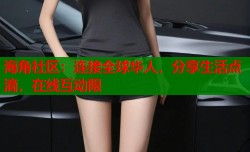 海角社区：连接全球华人，分享生活点滴，在线互动限