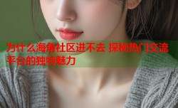 为什么海角社区进不去 探秘热门交流平台的独特魅力