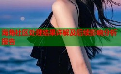 海角社区处理结果详解及后续影响分析报告