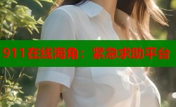 911在线海角：紧急求助平台