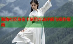 海角社区身份卡使用方法详解与操作指南