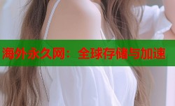 海外永久网：全球存储与加速