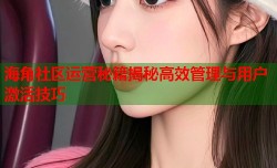 海角社区运营秘籍揭秘高效管理与用户激活技巧