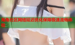 海角社区网络延迟优化保障极速流畅体验