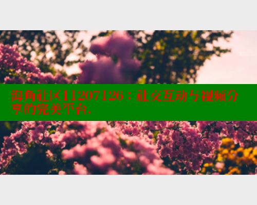 海角社区11207126：社交互动与视频分享的完美平台.