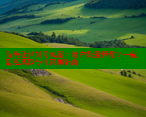 海角社区封号风暴：用户数据泄露？一窥隐私风险与社区黑暗面
