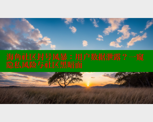海角社区封号风暴：用户数据泄露？一窥隐私风险与社区黑暗面 海角社区封神披风妈妈 第1张