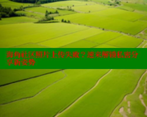 海角社区照片上传失败？速来解锁私密分享新姿势