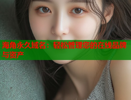 海角永久域名：轻松管理您的在线品牌与资产  第1张