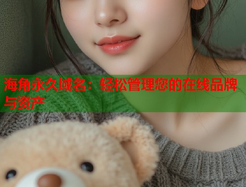 海角永久域名：轻松管理您的在线品牌与资产  第2张