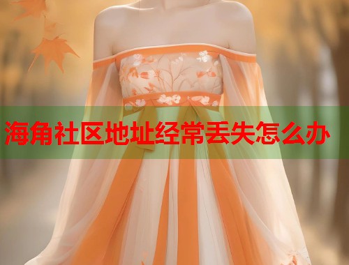 海角社区地址经常丢失怎么办  第1张