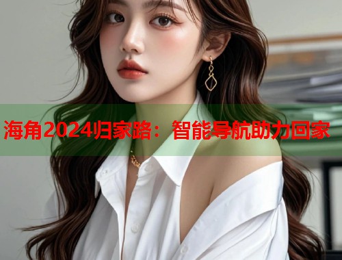 海角2024归家路：智能导航助力回家  第2张