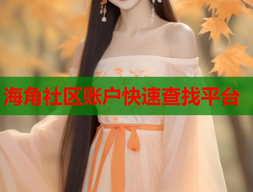 海角社区账户快速查找平台  第1张