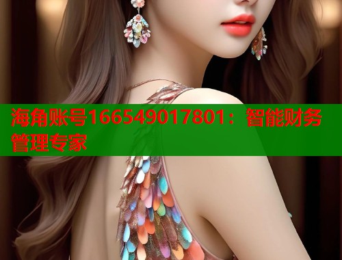 海角账号166549017801：智能财务管理专家  第2张