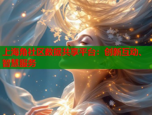 上海角社区数据共享平台：创新互动、智慧服务  第2张