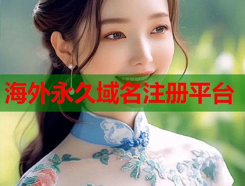 海外永久域名注册平台  第1张