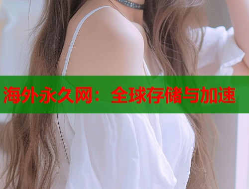 海外永久网：全球存储与加速  第1张