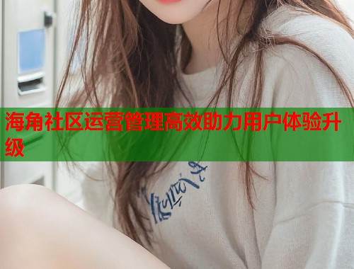 海角社区运营管理高效助力用户体验升级  第1张