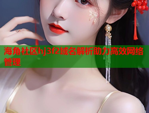 海角社区hj3f2域名解析助力高效网络管理  第1张