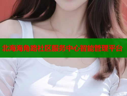 北海海角路社区服务中心智能管理平台  第1张