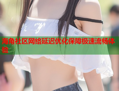 海角社区网络延迟优化保障极速流畅体验  第1张
